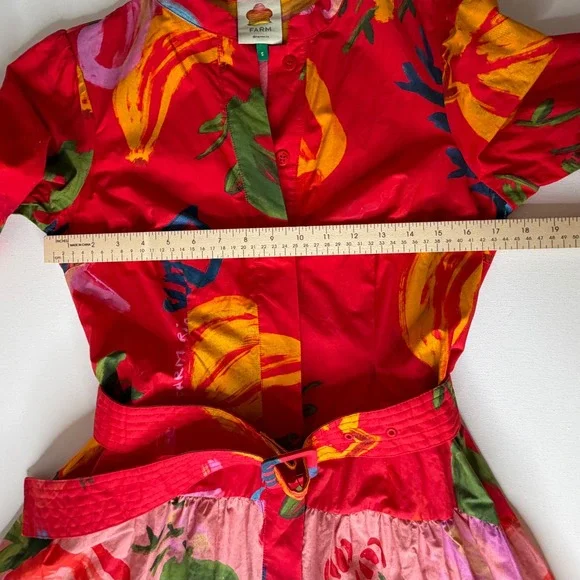 Farm Rio Tropical Fruit Printed Mini Shirt Dress Small Multicolor Belted Resort - Picture 12 of 13
